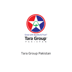 Tara Group Pakistan BeeHive Consultants Corporate Training SDGs Faisal Shaikh